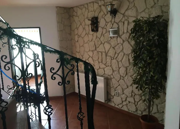 Vila Ianis Bran Bran 